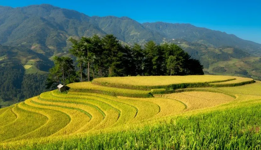 The Vertical Kingdom: A Master Guide to the Che Cu Nha E-bike Cycling Tour